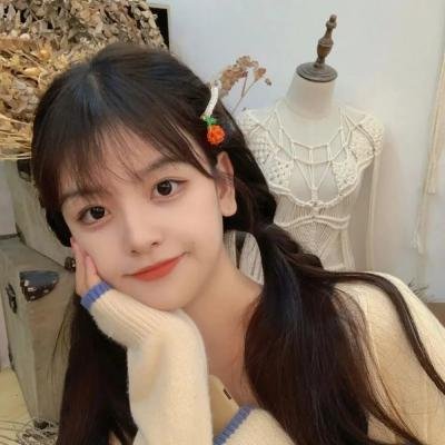 监察局长